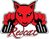 Redcat Yetkili Satıcı