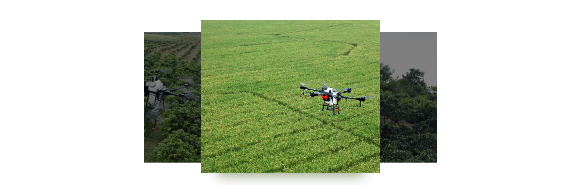 DJI Agras T16 Ziraii Drone